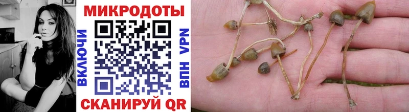 hydra рабочий сайт  купить наркотики цена  Алагир  Псилоцибиновые грибы GOLDEN TEACHER 